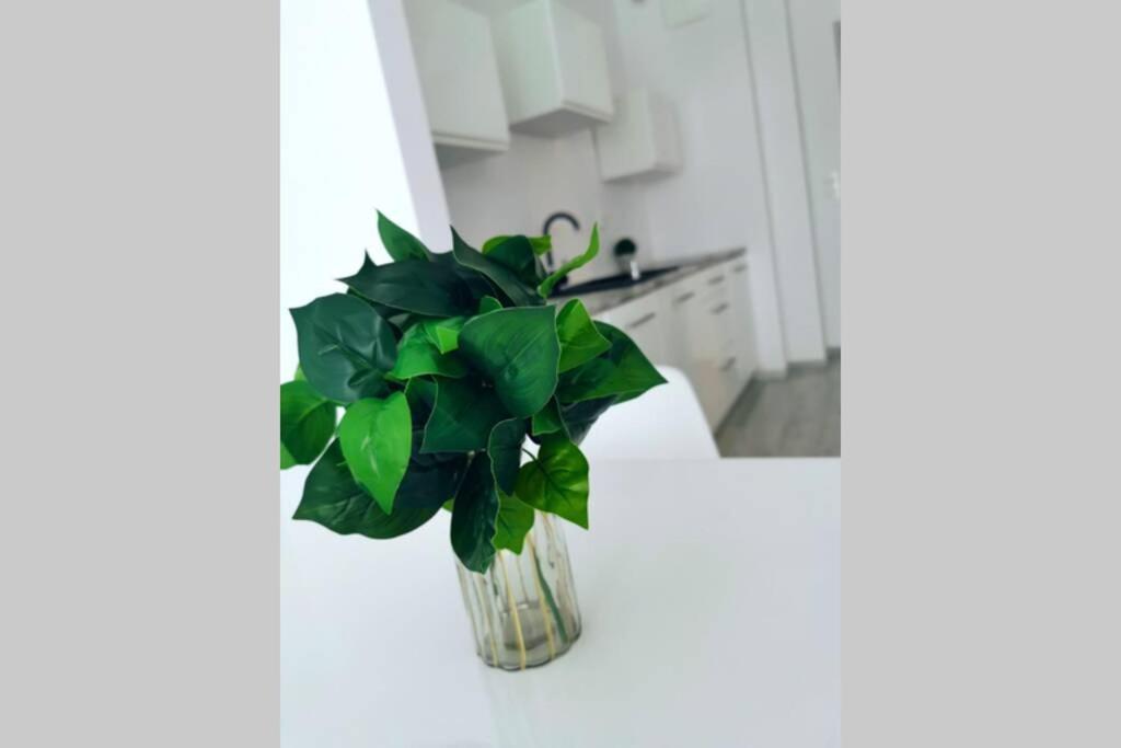 Apartment Promenada Gwiazd- Widok Na Morze. Miedzyzdroje